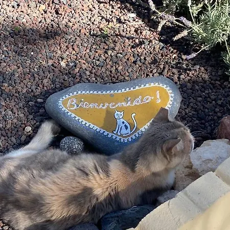 Appartement Casita, Costa Calma, 2 Sz, Glasfaser Wifi, Gute Lage, Strandnaehe