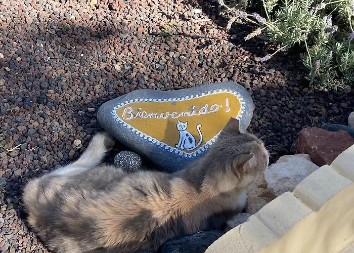 Lägenhet Casita, Costa Calma, 2 Sz, Glasfaser Wifi, Gute Lage, Strandnähe